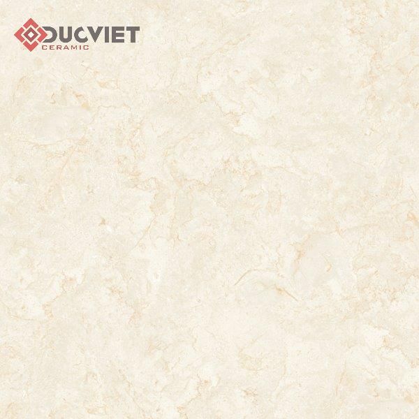 Gạch Viglacera 60x60 TB603