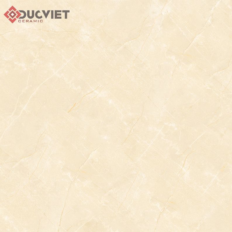 Gạch Viglacera 60x60 TB610