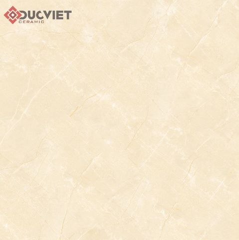 Gạch Viglacera 60x60 TB610