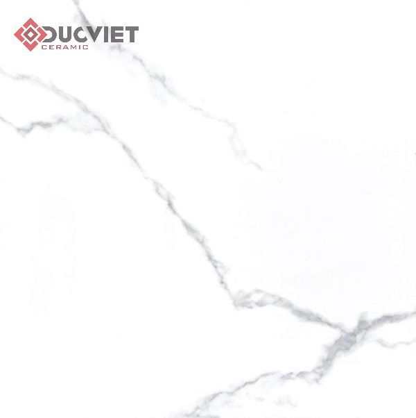 Gạch Viglacera 60x60 TB611
