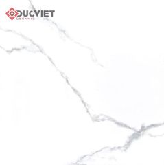Gạch Viglacera 60x60 TB611
