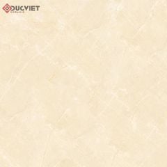 Gạch Viglacera 80x80 TB810