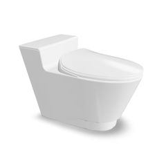 Bàn cầu một khối Viglacera Platinum P.10.500