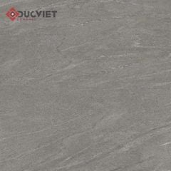 Gạch Viglacera 60x60 TM602