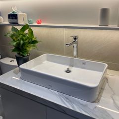 CHẬU ĐẶT BÀN TOTO LT952