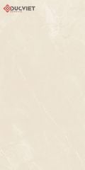 Gạch Eurotile TRA Q02 60x120
