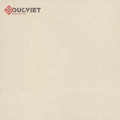 Gạch Viglacera 60x60 TS1-615