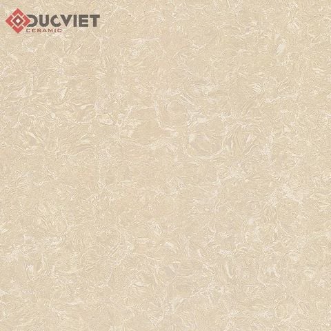 Gạch Viglacera 60x60 TS2-612