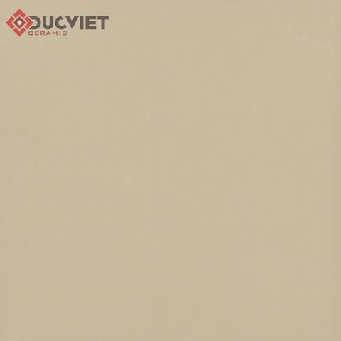 Gạch Viglacera 80x80 TS5-802