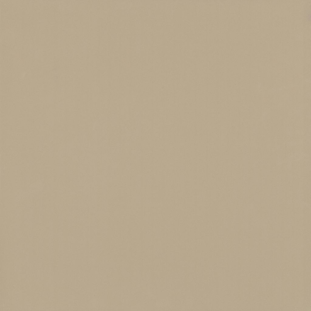 Gạch Viglacera 60x60 TS6-602