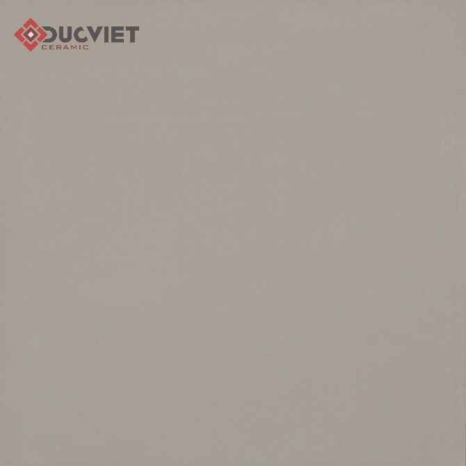 Gạch Viglacera 60x60 TS6-603