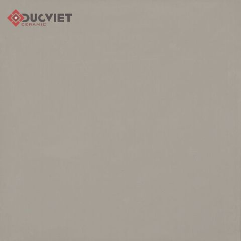 Gạch Viglacera 60x60 TS6-603