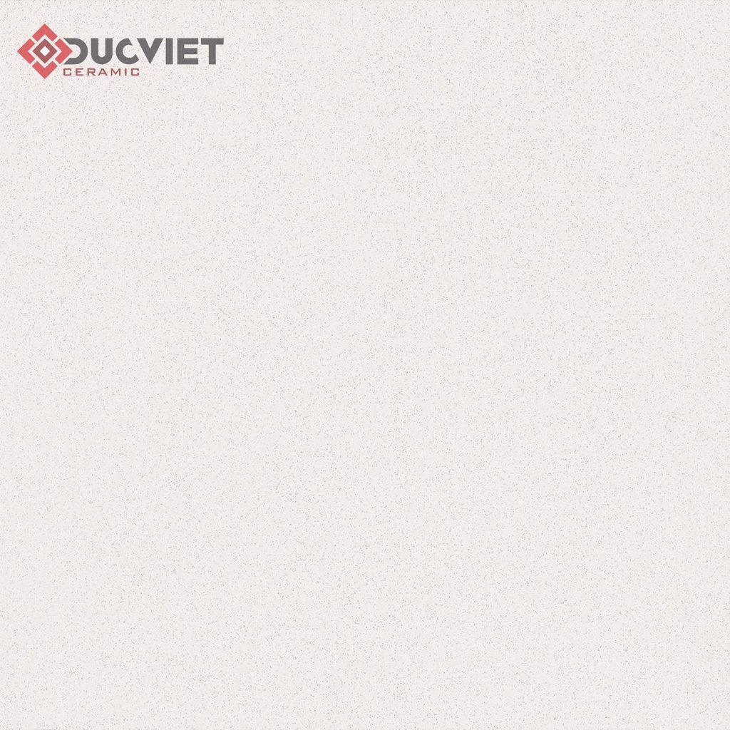 Gạch Viglacera 60x60 TS-MT601