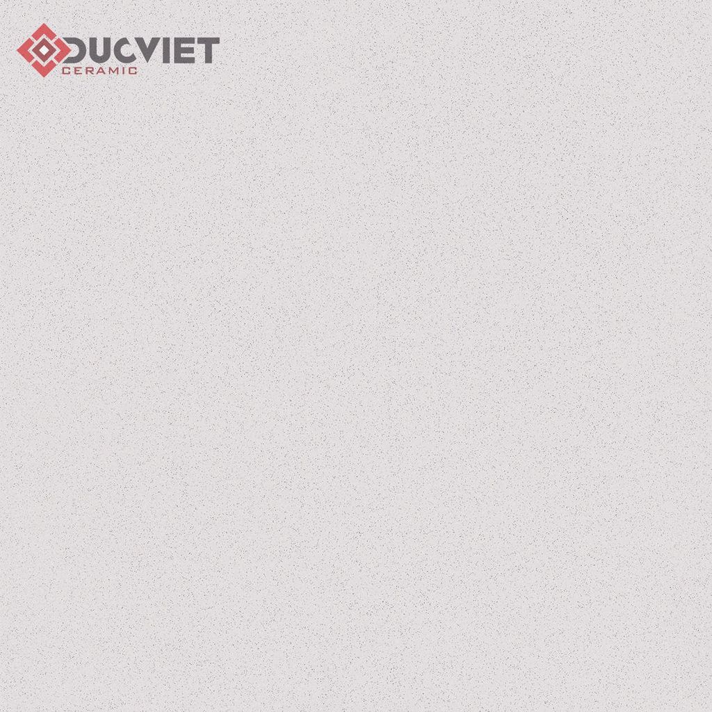 Gạch Viglacera 60x60 TS-MT602