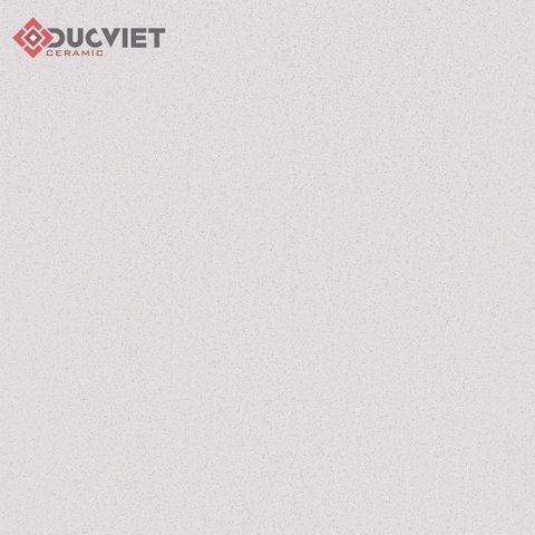 Gạch Viglacera 60x60 TS-MT602