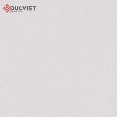 Gạch Viglacera 60x60 TS-MT602