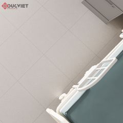 Gạch Viglacera 60x60 TS-MT602