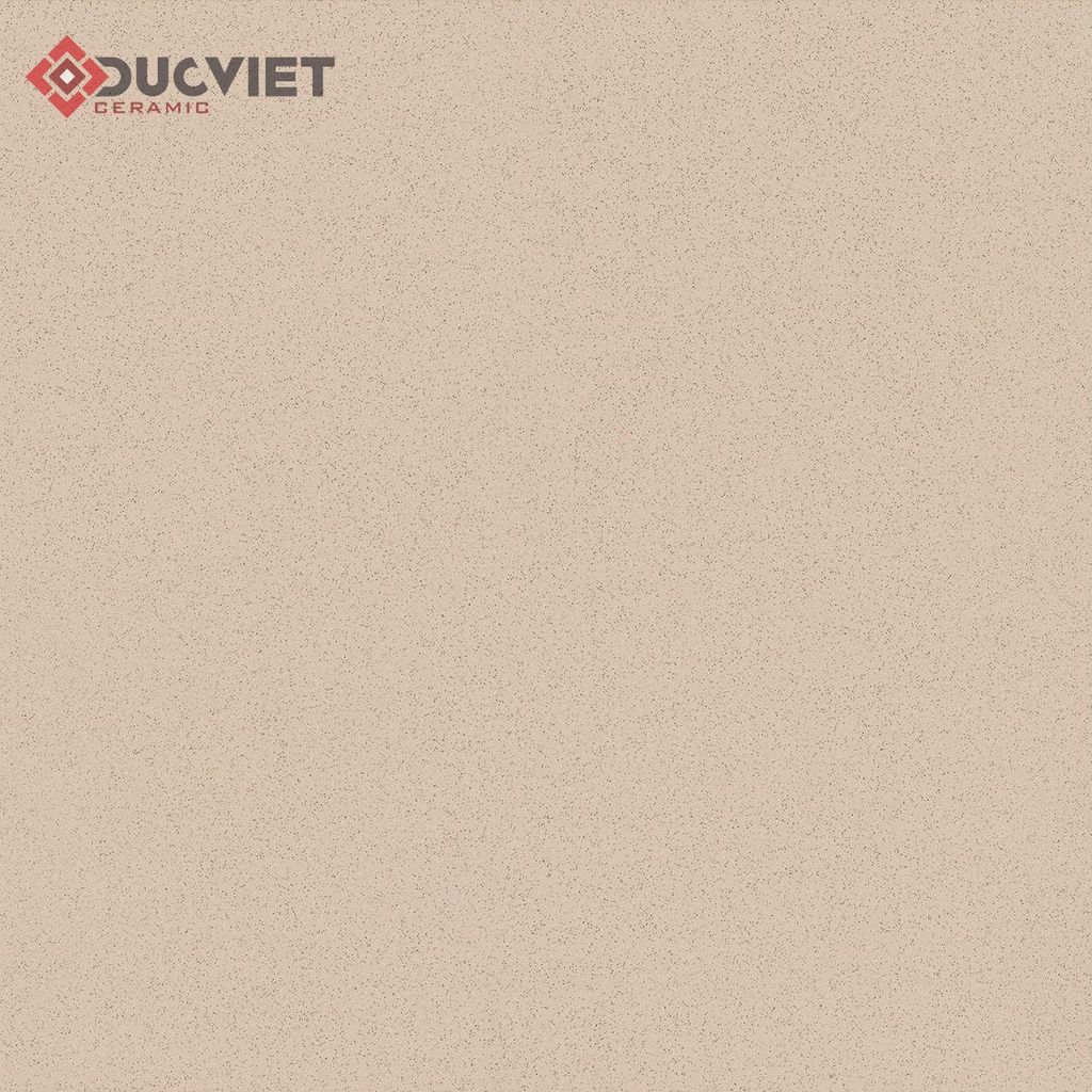 Gạch Viglacera 60x60 TS-MT603