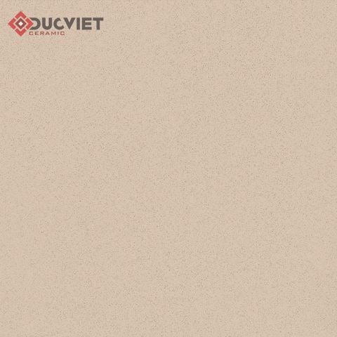Gạch Viglacera 60x60 TS-MT603