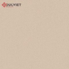 Gạch Viglacera 60x60 TS-MT603