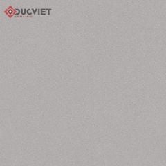 Gạch Viglacera 60x60 TS-MT604