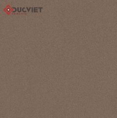 Gạch Viglacera 60x60 TS-MT606