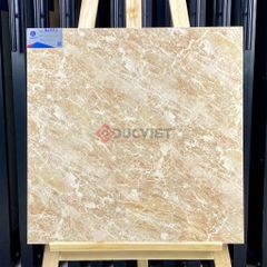 Gạch Viglacera 60x60 B6003