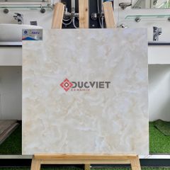 Gạch Viglacera 60x60 B6004