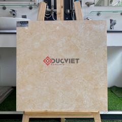 Gạch Viglacera 60x60 B6005