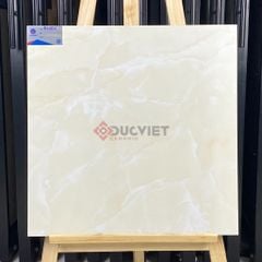Gạch Viglacera 60x60 B6006