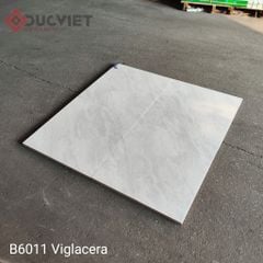 Gạch Viglacera 60x60 B6011