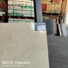 Gạch Viglacera 60x60 B6018