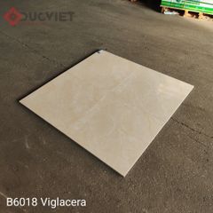 Gạch Viglacera 60x60 B6018