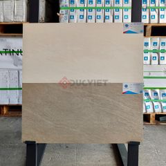 Gạch Viglacera 30x60 BS3627
