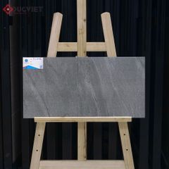 Gạch Viglacera 30x60 BS3642