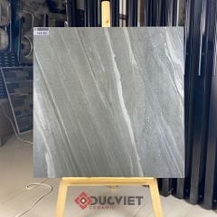 Gạch 80x80 CB-P801 Platinum