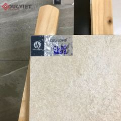 Gạch Viglacera 20mm CL20-3601 30x60