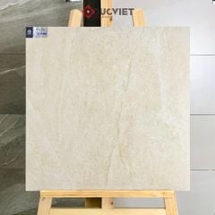 Gạch Viglacera 20mm 60x60 CL20-6601