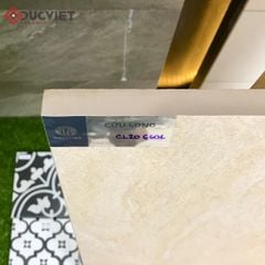 Gạch Viglacera 20mm 60x60 CL20-6601