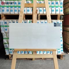 Gạch Viglacera 30x60 CL365