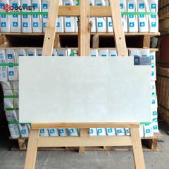 Gạch Viglacera 30x60 CL367
