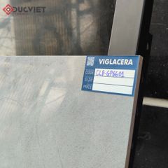 Gạch Viglacera 60x60 CL8-GP6601