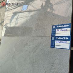 Gạch Viglacera 60x60 CL8-GP6602