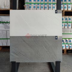Gạch Viglacera 30x60 CLBS3603
