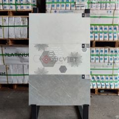 Gạch Viglacera 30x60 CLCE3616