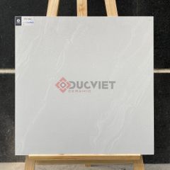 Gạch Viglacera 60x60 CLGM 6601