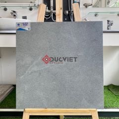 Gạch Viglacera 60x60 CLGM 6608