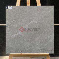 Gạch Viglacera 60x60 CLGM6610