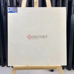 Gạch Viglacera 60x60 CLGP 608