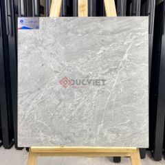 Gạch Viglacera 60x60 CLGP609